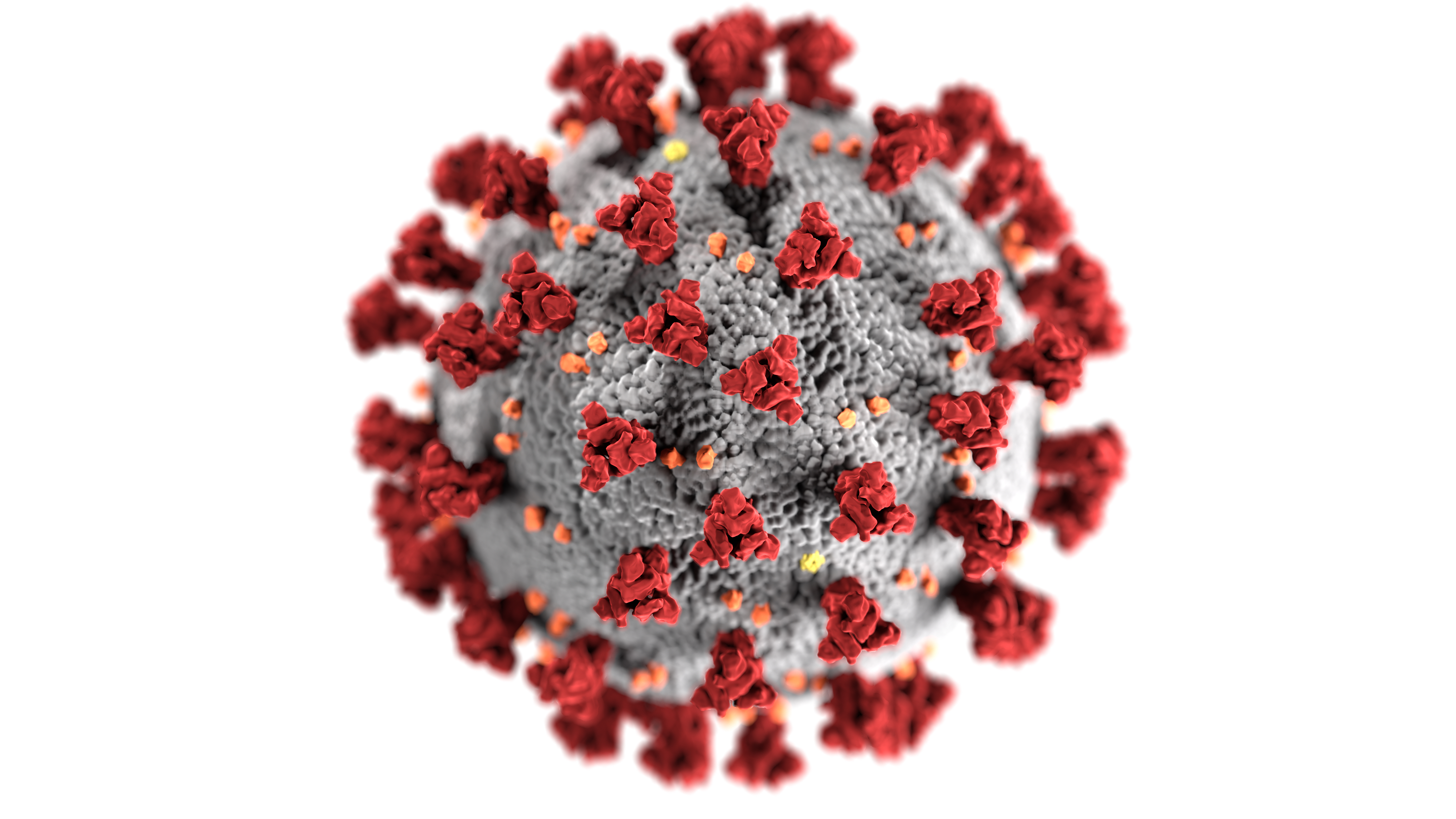 coronavirus-3992933