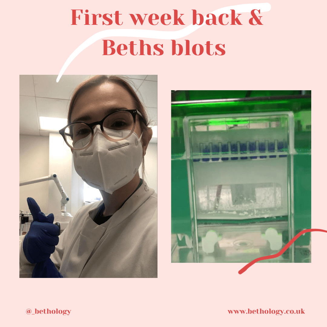 C0A9EF26-4C61-4C00-B606-37909934D751